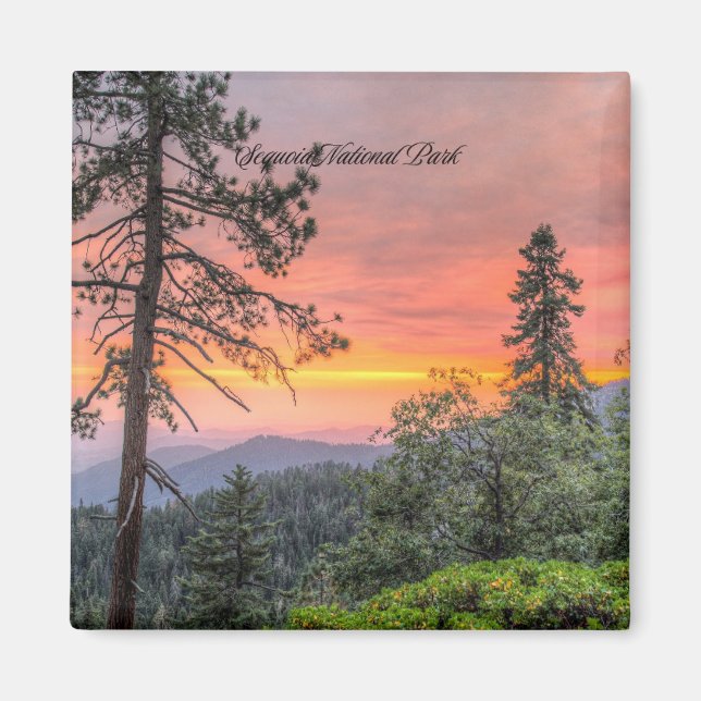 Sequoia National Park, California, Magnet (Front)