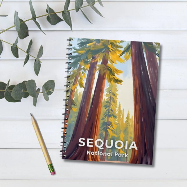 Sequoia National Park | California Travel Notebook (Creator Uploaded)