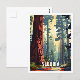 Sequoia National Park California USA Postcard