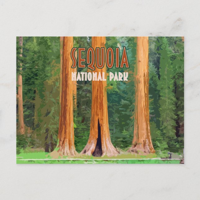 Sequoia National Park California Vintage Postcard (Front)