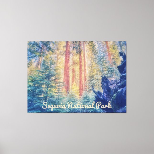 Sequoia National Park Canvas Print (Front)