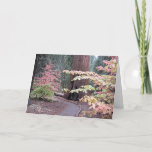 Sequoia national park card