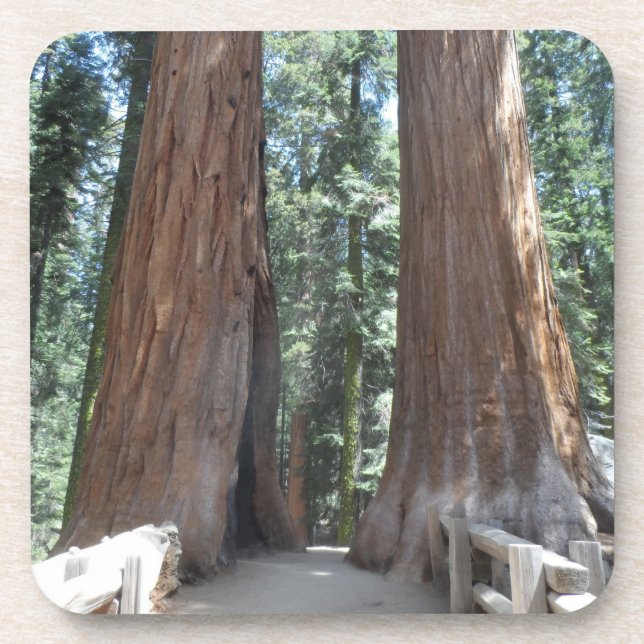 Sequoia National Park Coaster (Front)