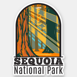 Sequoia National Park Giant Sequoia Trees Sunlight