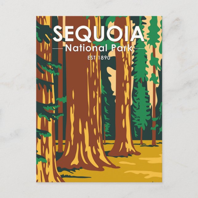 Sequoia National Park Giant Sequoia Trees Vintage Postcard (Front)