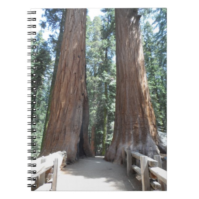 Sequoia National Park Notebook (Front)