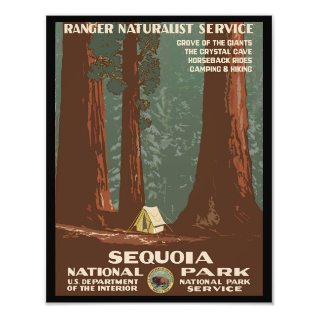 Sequoia National Park Photo Print (Front)