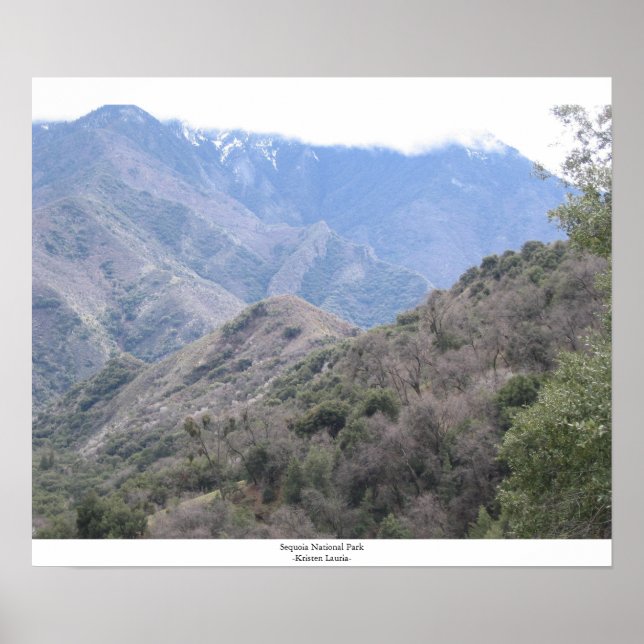 Sequoia National Park Poster (Front)