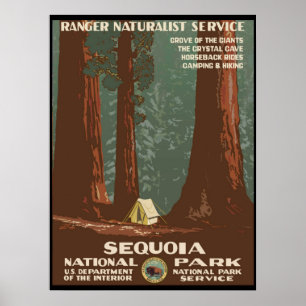 Sequoia National Park Poster