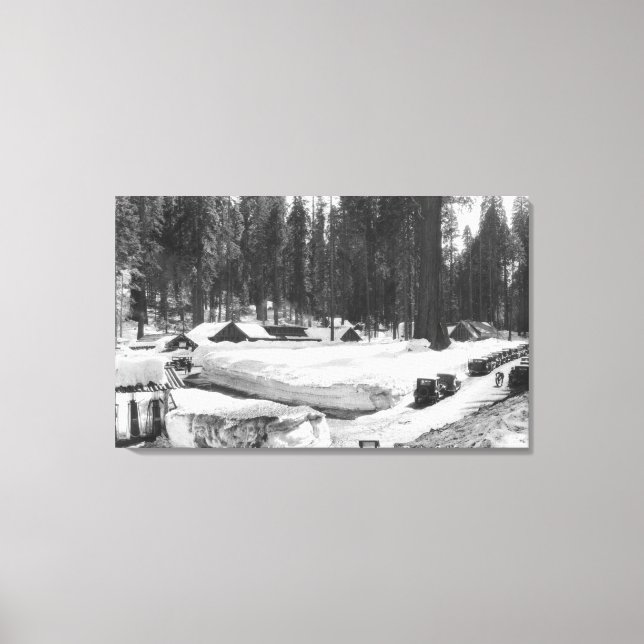 Sequoia National Park Snow Scene in Village Canvas Print (Front)