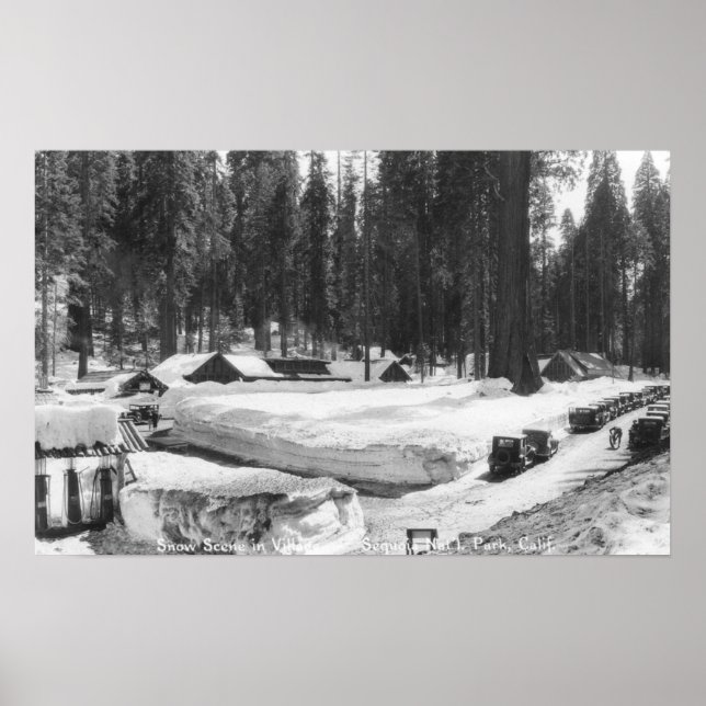 Sequoia National Park Snow Scene in Village Poster (Front)