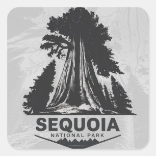 Sequoia National Park Square Sticker