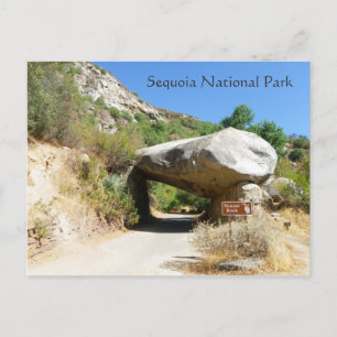 Sequoia National Park/Tunnel Rock Postcard! Postcard