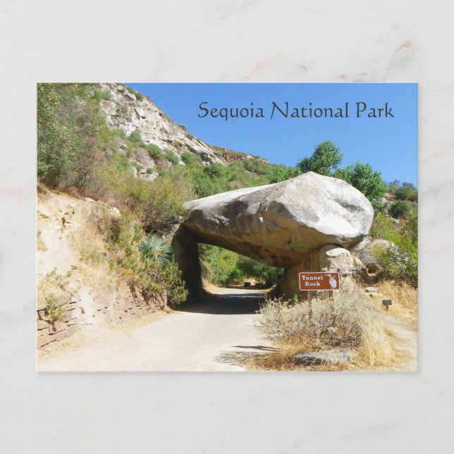 Sequoia National Park/Tunnel Rock Postcard! Postcard (Front)