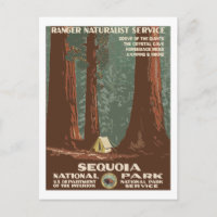 Sequoia National Park USA Vintage Travel Poster