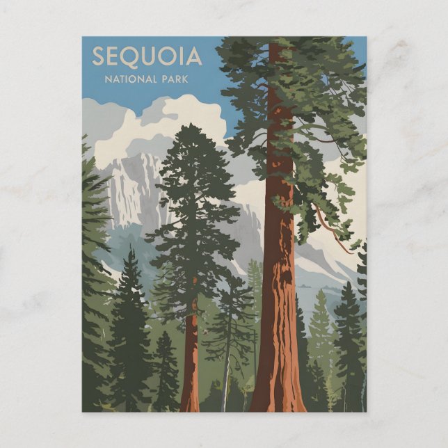 Sequoia National Park vintage Postcard (Front)