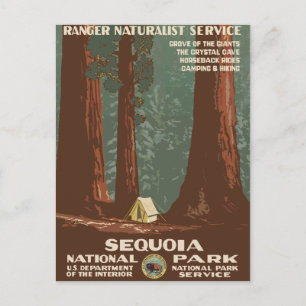 Sequoia National Park Vintage Travel Poster Postcard