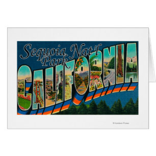 Sequoia Nat'l Park, California