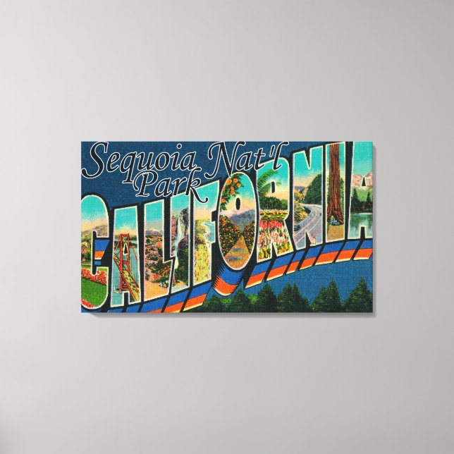 Sequoia Nat'l Park, California Canvas Print (Front)