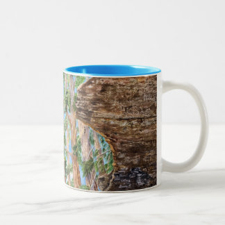 Sequoia Redwoods Two-Tone Coffee Mug