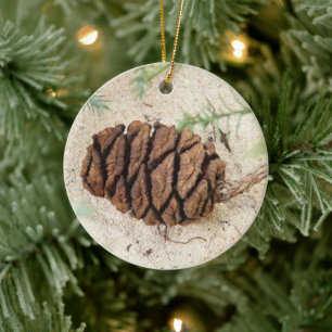 Sequoia Tree Cone, Giant Redwood Ornament