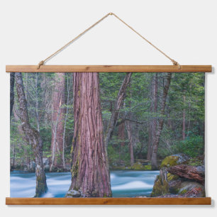 Sequoias & Merced River Yosemite National Park, CA Hanging Tapestry