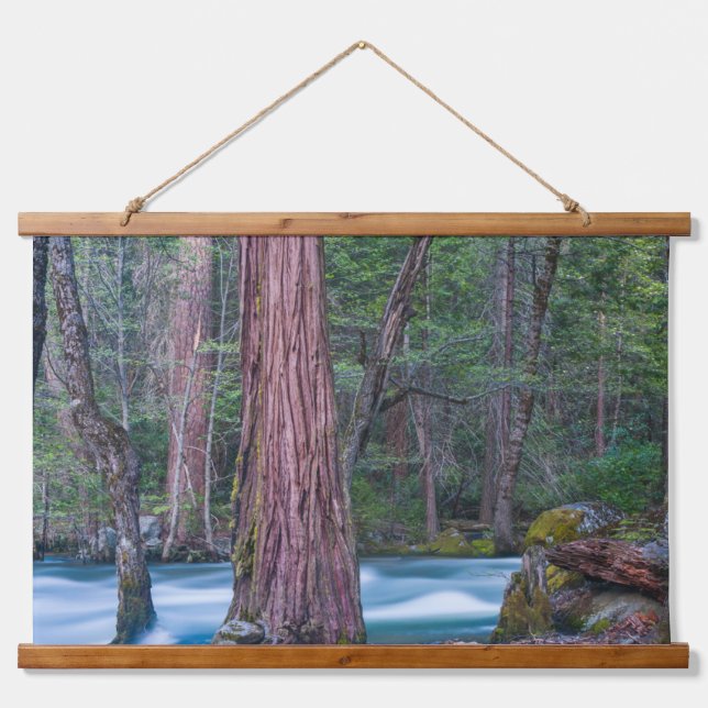 Sequoias & Merced River Yosemite National Park, CA Hanging Tapestry (Front)