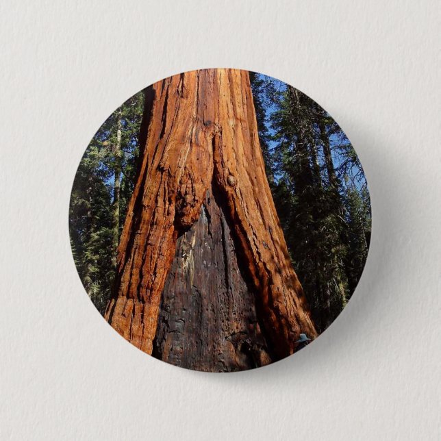 Sequoias Trees Giants Burned Bark 2 Inch Round Button (Front)
