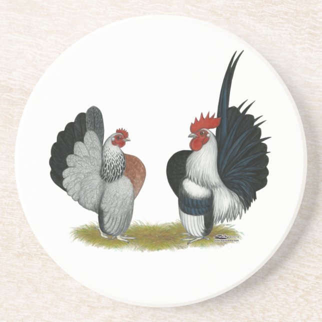 Serama Bantams Coaster (Front)