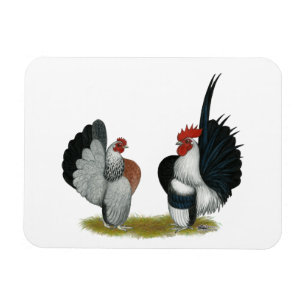 Serama Bantams Magnet