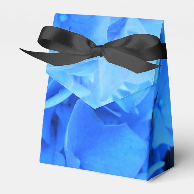 Seraphine Favor Box (Front Side)