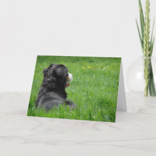 Serena in the Sun Card