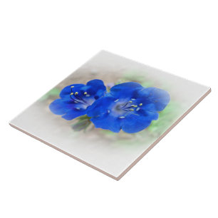 Serenade in Blue Tile