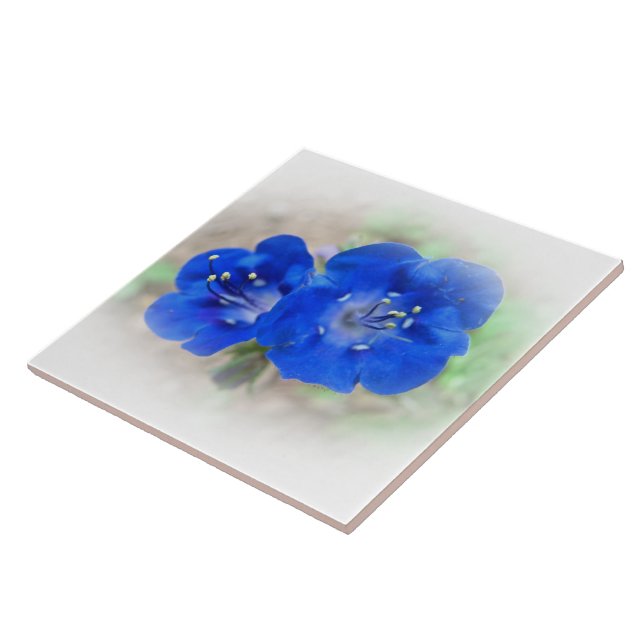 Serenade in Blue Tile (Side)