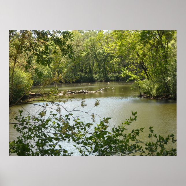 Serene 2 poster (Front)