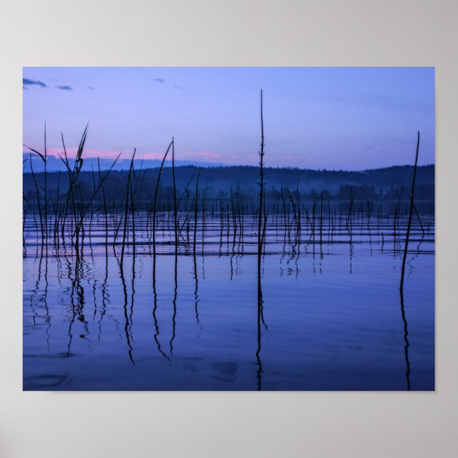 Serene and misty lake after heavy rain poster (Front)