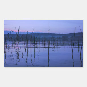 Serene and misty lake after heavy rain sticker. sticker