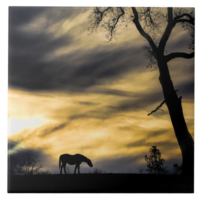 Serene and Surreal Horse in Storm Art Tile (Front)