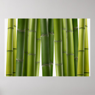 Serene Bamboo Poster