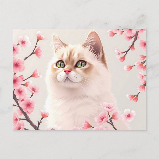 Serene Birman Cat Portrait With Cherry Blossoms  Postcard (Front)