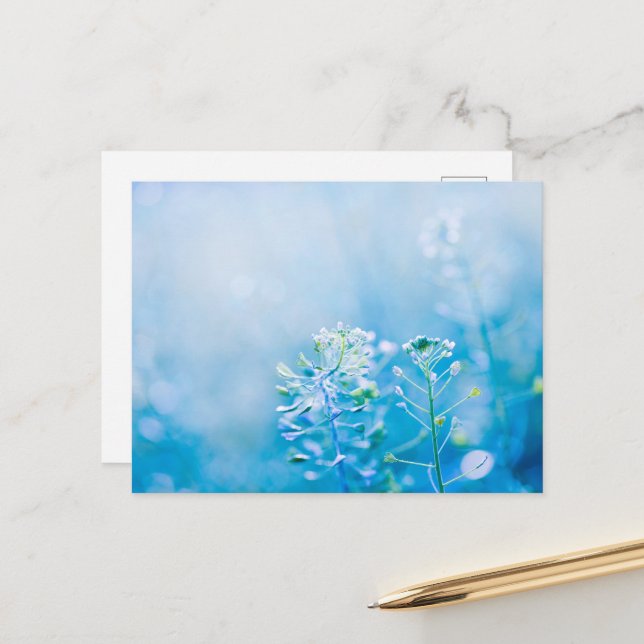 Serene Blue Wildflower Nature Postcard (Front/Back In Situ)