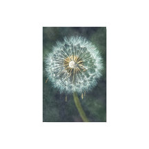 Serene Dandelion Canvas Art - Timeless Nature Insp