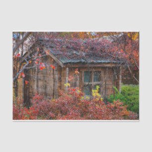 Serene Fall Cabin Surrounded with Flowers Tissue Paper