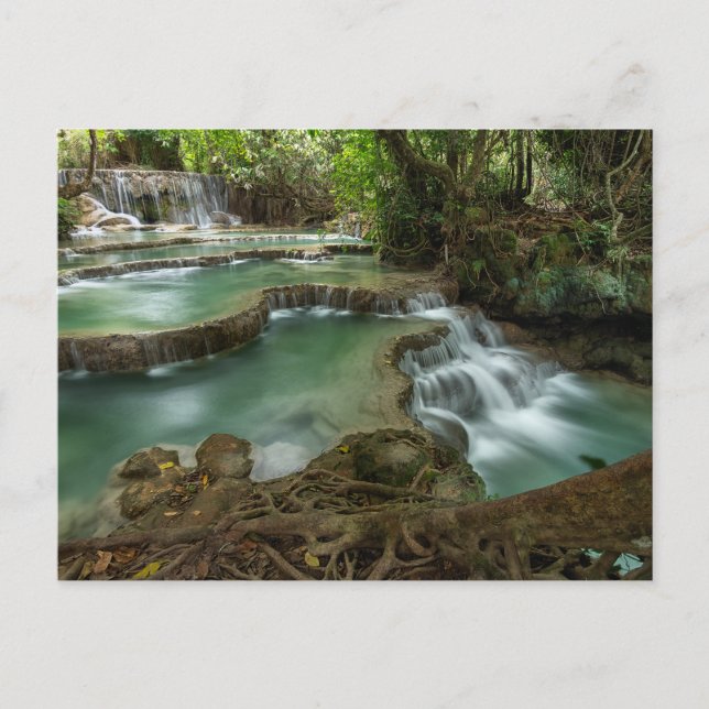Serene Forest Waterfall Pools Postcard (Front)