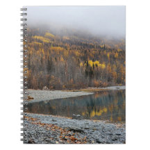 Serene Golden Forest Spiral Notebook