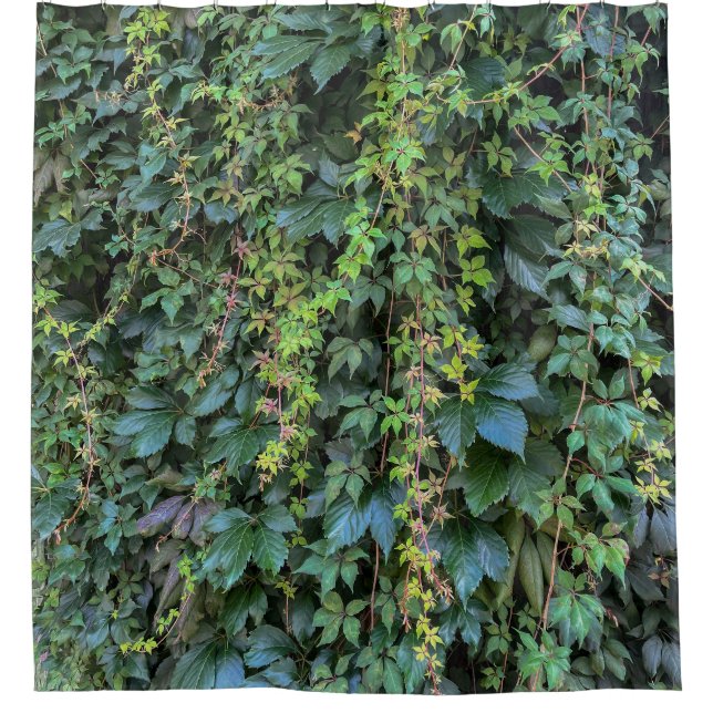 Serene Green Ivy Wall Hanging Vines Plant Leaves (Front)