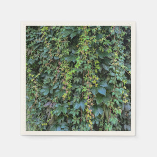 Serene Green Ivy Wall Hanging Vines Plant Leaves Napkin