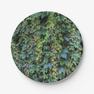 Serene Green Ivy Wall Hanging Vines Plant Leaves Paper Plate