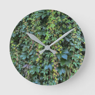 Serene Green Ivy Wall Hanging Vines Plant Leaves Round Clock