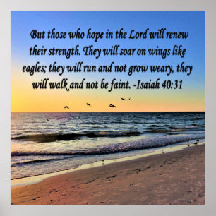 SERENE ISAIAH 40:31 SCRIPTURE DESIGN POSTER